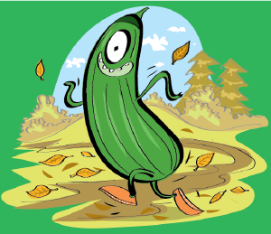 Kurgi Kuuno lastejooksud